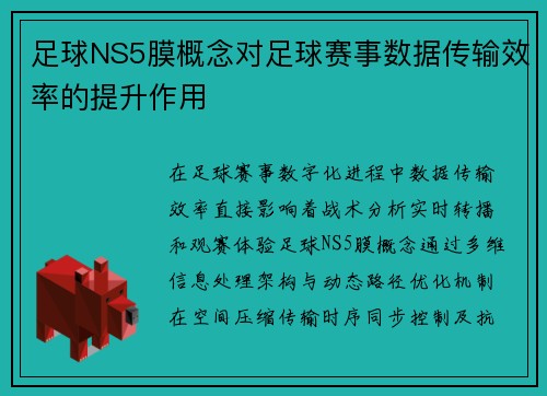 足球NS5膜概念对足球赛事数据传输效率的提升作用